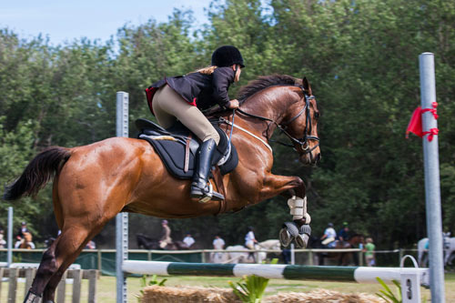 betriebshaftpflicht-fuer-einen-reitstall Betriebshaftpflichtversicherung für einen Reitstall