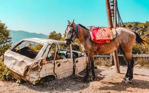 Betriebshaftpflicht für den Reitstall