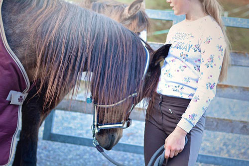 betriebshaftpflicht-fuer-reitstall2 Betriebshaftpflicht für den Reitstall