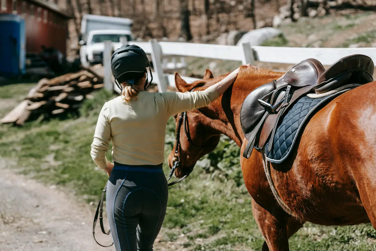betriebshaftpflicht für den Reitstall