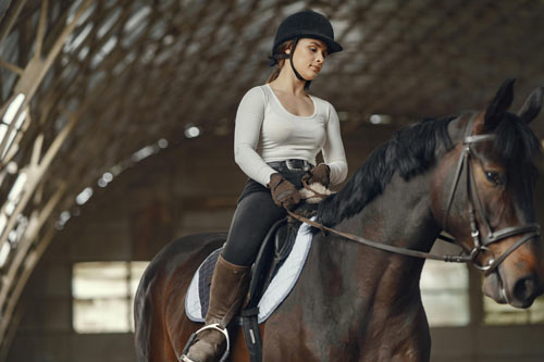 betriebshaftpflichtversicherung-reitstall Betriebshaftpflicht für den Reitstall