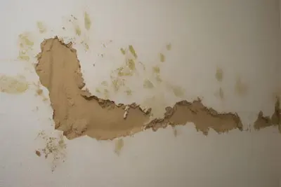 Betriebshaftpflicht für Maler deckt Schäden durch Schimmel an den Wänden ab