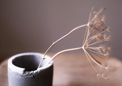 berufshaftpflicht-ergotherapeut-sachschaden Berufshaftpflicht für Ergotherapeut schützt bei Sachschaden