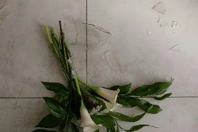 Betriebshaftpflicht für Handelsvertreter schützt bei Sachschaden