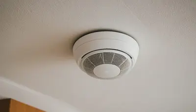 Betriebshaftpflicht für Schornsteinfeger schützt bei Vermögensschaden