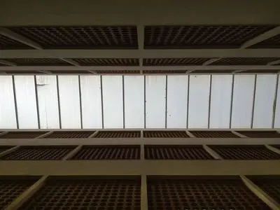 betriebshaftpflichtversicherung-zimmerei-sachschaden Betriebshaftpflicht für Zimmerei schützt bei Vermögensschaden