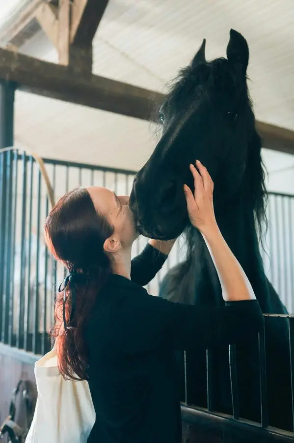 Betriebshaftpflichtversicherung für Pferdepension