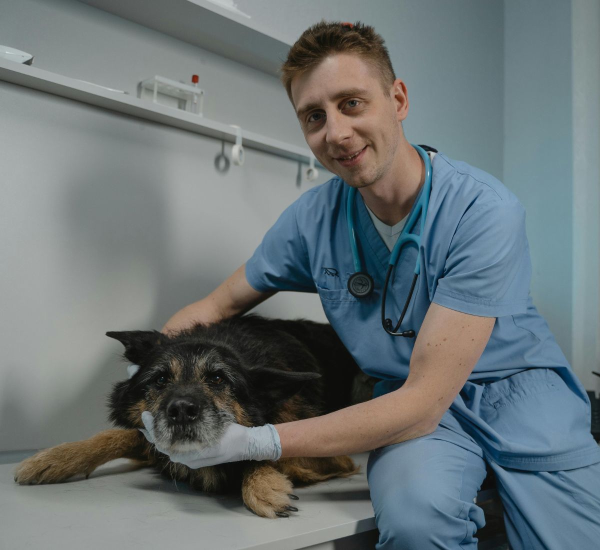 Tierheilpraktiker mit Hund in Praxis, Berufshaftpflicht für Tierheilpraktiker