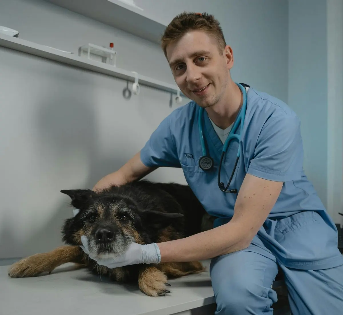 Tierheilpraktiker mit Hund in Praxis, Berufshaftpflicht für Tierheilpraktiker