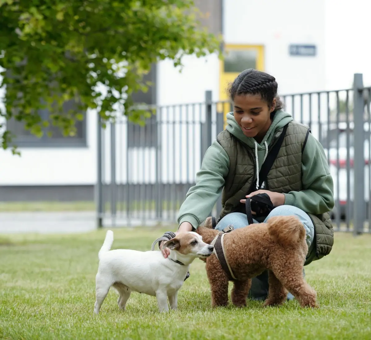betriebshaftpflicht-hundesitter Betriebshaftpflicht für Hundesitter