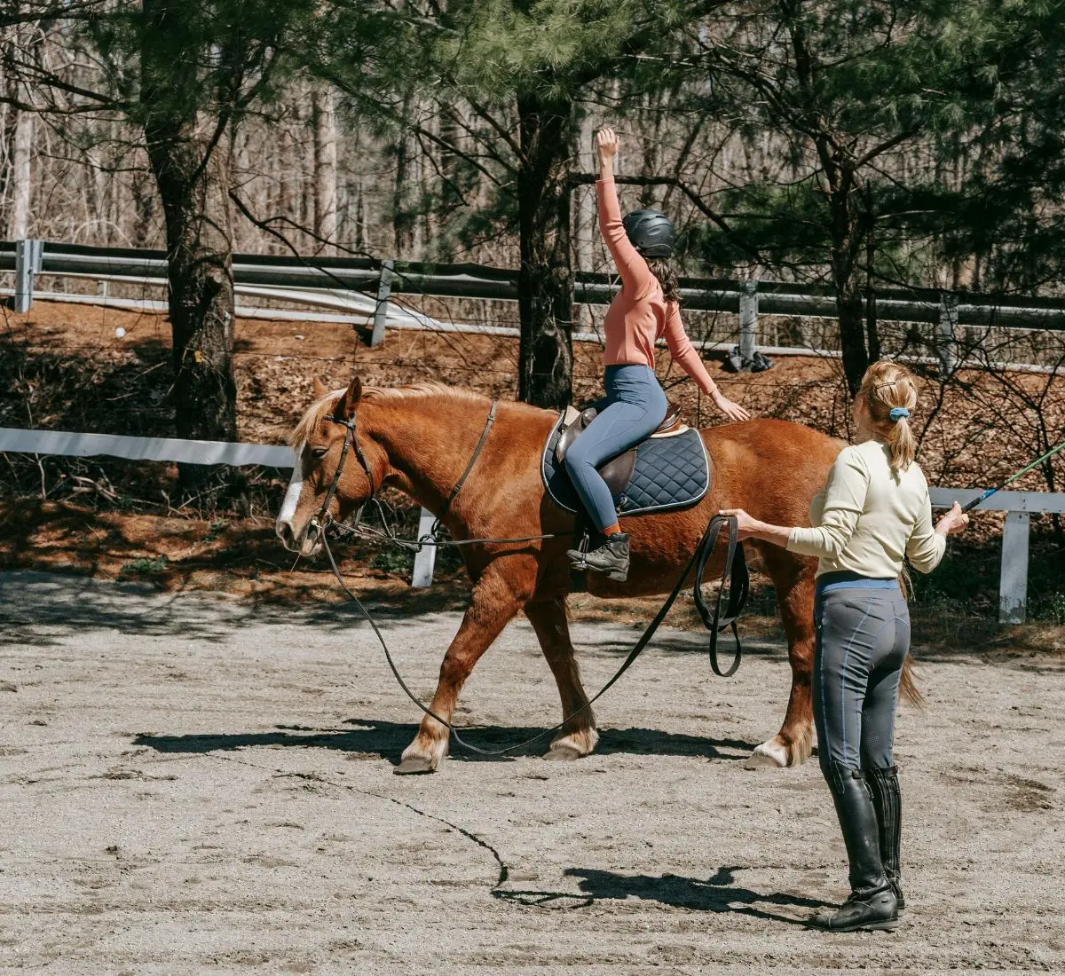 Berufshaftpflicht für Berufe mit Tieren und tiernahe Berufe